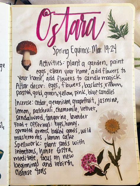 Spring Equinox Spells, Ostra Celebrations, Spring Equinox Ritual Witches, How To Celebrate Spring Solstice, Ostara Crafts Pagan, Spring Equinox Celebration Pagan, Spring Solstice Rituals, Spring Equinox Rituals, How To Celebrate Ostara