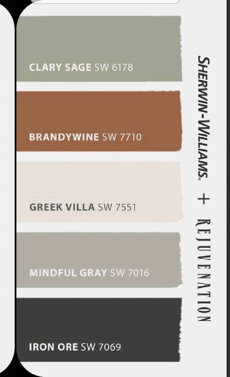 Green Brown Rust Color Palette, Full Home Paint Color Scheme, Black White And Sage Living Room, Rust Black Cream Color Palette, Rejuvenation Paint Colors, Black White Green Brown Interior, Clary Sage Complimentary Colors, Rust And Grey Color Palette, Sage Green And Charcoal Living Room