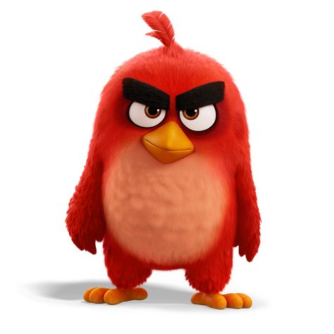 Angry Birds Characters, Red Angry Bird, Red Guy, Pencak Silat, Angry Bird, Walt Disney Pictures, Kung Fu Panda, Angry Birds, Disney Pictures