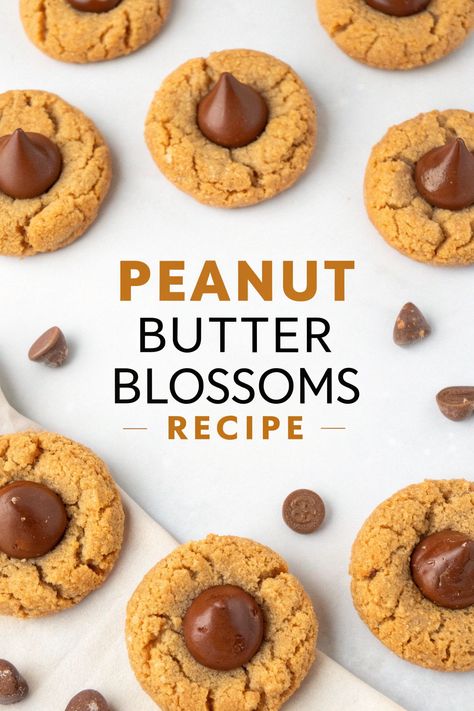 These Peanut Butter Blossoms are the perfect cookie! Soft peanut butter cookies with a chocolate kiss—everyone’s favorite combo! 


#PeanutButterCookies #HolidayBaking #SweetTreats #PeanutButterLovers Peanut Butter Blossoms Recipe, Butter Blossoms, Soft Peanut Butter Cookies, The Perfect Cookie, Peanut Butter Blossoms, Peanut Butter Lovers, Kisses Chocolate, Perfect Cookie, Peanut Butter Cookies