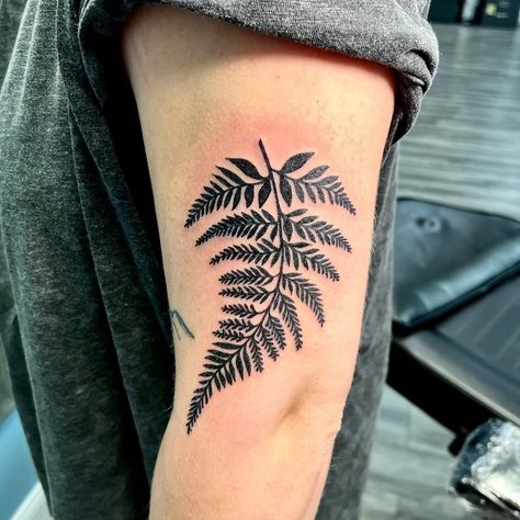 I ✨love✨ black work! 🖤🖤🖤 To book with me, please email olympusink@gmail.com with your ideas! #art #tattooapprenticeship #TKSG #fern #black #blackwork #tattoo #design #topcityink #topeka #KS #plant Blackberries Tattoo, Blackwork Tattoo Design, Blackberry Tattoo, Tattoos On Back, Fern Tattoo, Tattoo Apprenticeship, I Love Black, Black Work, Love Black