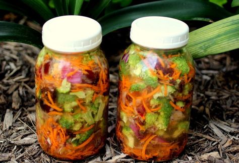 Cultured Broccoli Salad In a Jar Fermented Broccoli Recipe, Cultured Food Life, Fermented Broccoli, Ferment Recipes, Fermenting Recipes, Cultured Vegetables, Fermented Recipes, Cultured Food, Fermented Veggies