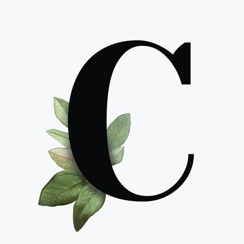 Botanical capital letter C font design | free image by rawpixel.com / Aum Letter C Font Design, Alphabet Images Design, C Alphabet Design, The Letter C Design, C Letter Design, Letter C Tattoo, Letter C Design, N Letter Design, Botanical Capital Letter