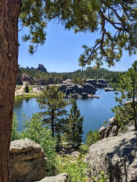 Sylvan Lake: Swimming & Paddling in Beautiful Custer State Park Lake Swimming, Sylvan Lake, Custer State Park, Lake Lodge, Rapid City, Wet Clothes, Black Hills, Hiking Gear, Amazing Places