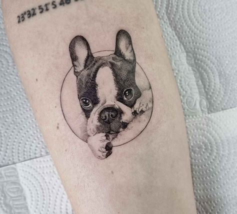 Chico Tattoos, Frenchie Memorial Tattoo, Frenchie Tattoos, Boston Terrier Tattoo, Unique Animal Tattoos, Pet Tattoo Ideas, Pet Tattoos, French Bulldog Tattoo, Bulldog Tattoo