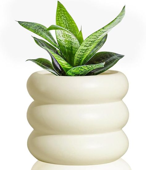 Amazon.com: Modern Plant Pot 4.7 Inch Beige Ceramic Planters for Indoor Plants Unique Pots for Plants, Boho Planter Pots with Drainage Holes Small Ceramic Pots Bubble Flowerpot for Home & Office Decor : Patio, Lawn & Garden Unique Pots For Plants, Plants Unique, Plants Cute, Planters For Indoor Plants, Unique Planters, Beige Ceramic, Ceramic Planter Pots, Orchid Pot, Unique Planter