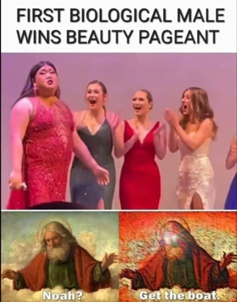 Beauty Pageant, You Call, Meme Pictures, New Memes, Daily Dose, Cleaning Hacks, Funny Memes, Prom Dresses, Prom