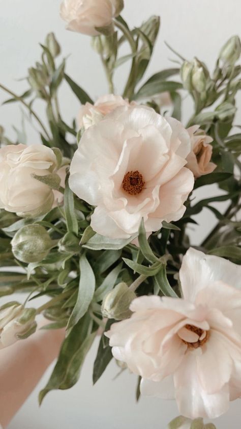 butterfly ranunculus, ranunculus, flowers, wedding flowers, wedding inspo, wedding inspiration, White Butterfly Ranunculus, Ranaculus Flowers, Butterfly Ranunculus, White Ranunculus, Cut Flower Garden, Bride Magazine, Flower Therapy, Floral Designer, Cream Flowers