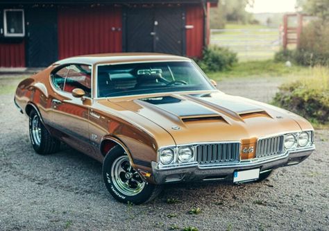 Mikael Persbrandt's Rare Oldsmobile 442 W30 Is For Sale 442 Oldsmobile, 1970 Oldsmobile 442, Oldsmobile 88, Birthday Presents For Him, Oldsmobile 442, Pontiac Lemans, Oldsmobile Cutlass, Racing Stripes, Presents For Him