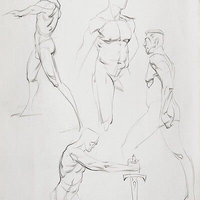 The Anatomy Lesson, Basic Sketching, Life Drawing Reference, Human Figure Sketches, Human Anatomy Drawing, Anatomy Sketches, Anatomy Poses, Drawing Studies, Figure Sketching