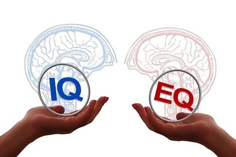 Common Subjects That Are Tested In Psychometric Tests - CareerGuide What Is Emotional Intelligence, Intelligence Quotient, High Emotional Intelligence, Social Intelligence, Types Of Intelligence, Executive Leadership, High Iq, Nonverbal Communication, Lead Generation Real Estate