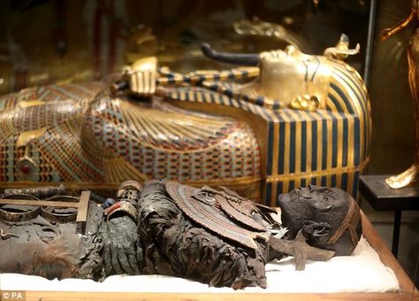 the tomb of tut ankhamun | The discovery of Tutankhamun's tomb has been described as the ... King Tut Tomb, Starověký Egypt, King Tutankhamun, Egypt Today, Egyptian Civilization, Egyptian Mummies, Avan Jogia, Egyptian Artifacts, Egypt History