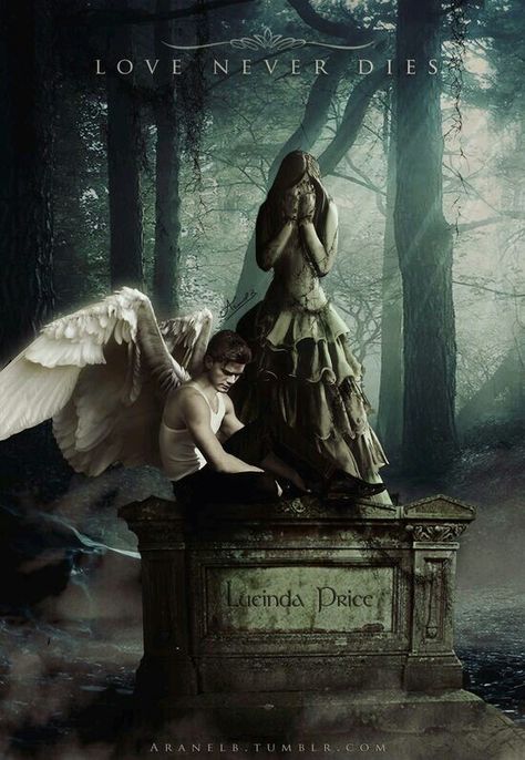 Love never dies..... Lauren Kate Fallen, Fallen Saga, Demon Lover, Lauren Kate, Fallen Series, Gothic Fantasy Art, Fantasy Magic, رعب نفسي, Fallen Book