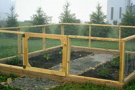 chicken wire garden best fence ideas Diy Garden Flowers, Diy Garden Beds, First Vegetable Garden, Garden Enclosure, Fenced Garden, Decorative Garden Fence, Chicken Wire Fence, Wood Picket Fence, Chicken Fence