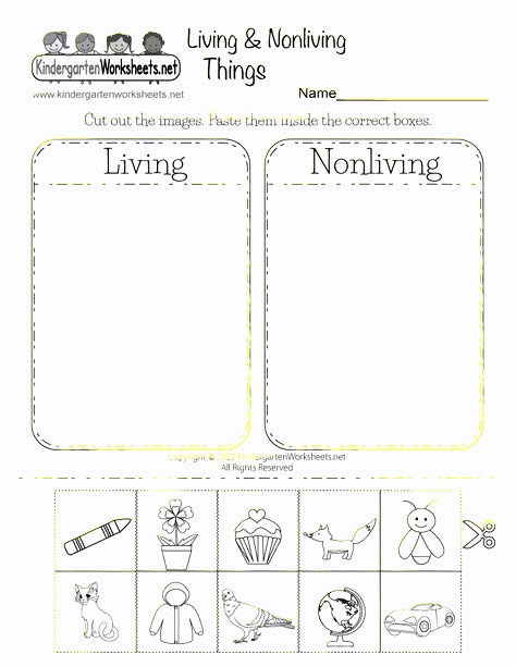 Preschool Science Lessons Ideas, Worksheets Preschool Free Printable, Living Skills Worksheets, Free Science Worksheets For Kindergarten, Science Worksheet For Preschooler, Science Lessons For Kindergarten, Living Non Living Kindergarten, Homeschool Kindergarten Science, Kindergarten Science Lessons Free