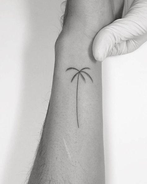 Palm tree tattoo on Erwan Heussaff's wrist. Tree Tattoo Wrist, Erwan Heussaff, Tree Tattoo Ankle, Palm Tree Tattoo Ankle, Xo Tattoo, Tree Tattoo Arm, Tattoo Tree, Unusual Tattoo, Elbow Tattoo