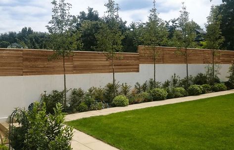 Garden Wall And Fence Ideas, Concrete And Wood Fence Ideas, Fence Higher Privacy, High Garden Fence Ideas, Higher Fence Ideas, Garden Fence Privacy Ideas, Contemporary Fencing Ideas, Privacy Fence On Retaining Wall, Stucco And Wood Fence