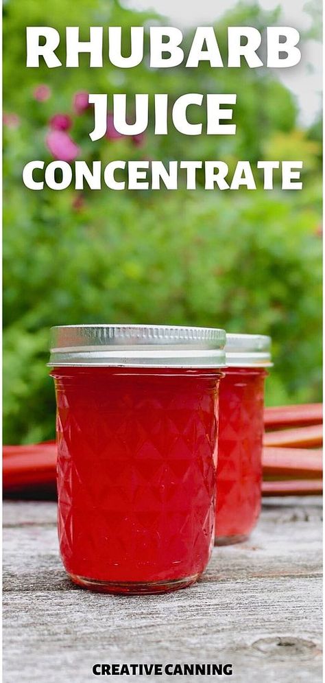 Master the art of canning drinks with our rhubarb juice concentrate guide. Canning your own juice concentrate is a rewarding way to preserve the health benefits and taste of rhubarb. This guide covers everything from making to canning rhubarb juice, ensuring you enjoy this tart vegetable throughout the year. For beginners and experienced canners alike, check out creativecanning.com for more canning fruit recipes and fruit preserves. Canning Drinks, Rhubarb Canning Recipes, Canning Rhubarb, Canning Fruit Recipes, Rhubarb Juice, Water Bath Canning Recipes, Healthy Summer Drinks, Canning Fruit, Home Canning Recipes