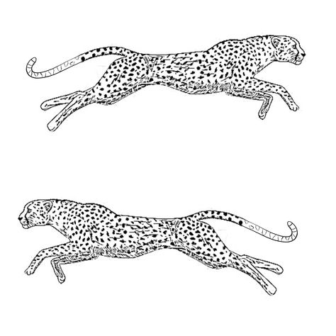 Cheetah Snake Tattoo, Cheetah Running Tattoo, Leopard Stretching Tattoo, Fine Line Cheetah Tattoo, Animal Cruelty Art, Tattoo Leopard, Spine Tattoo Quotes, Cheetah Drawing, Cheetah Tattoo