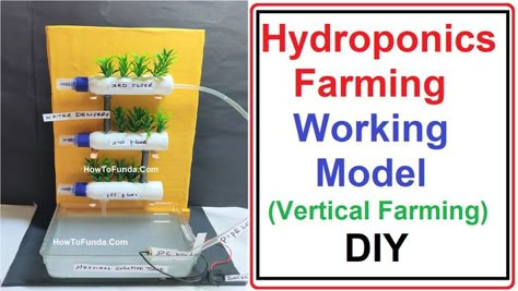 hydroponics farming(agriculture) working model (vertical farming) science project  | howtofunda Plant Science Fair Projects, Diy For School, Science Exhibition Working Models, Science Project Working Model, Maths Tlm, Science Exhibition Ideas, Science Project Models, Science Exhibition Projects, Cool Science Projects