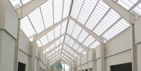 Skylight Design Architecture, Planted Skylight, Polycarbonate Skylight, Warehouse Skylight, Skylight Construction Detail, Interior Inspo, Float, Shades, Bath