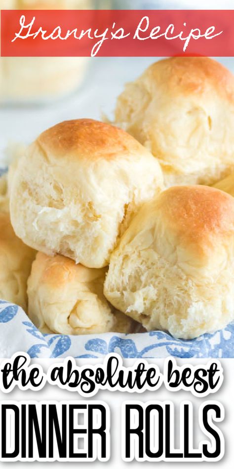 Best Dinner Roll Recipe, Dinner Rolls Recipe Homemade, Best Dinner Rolls, Roll Dough Recipe, Quick Dinner Rolls, Dinner Roll Recipe, Dinner Rolls Easy, Sweet Dinner Rolls, Fluffy Dinner Rolls