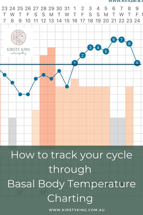 Natural Contraception, Basal Body Temperature Chart, Cycle Hormones, Signs Of Ovulation, Cycle Synching, Cycle Women, Track Your Cycle, Fertile Window, Fertility Awareness Method