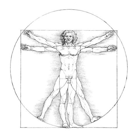 2,261 Leonardo Da Vinci Stock Photos, Pictures & Royalty-Free Images - iStock Vitruvian Man Tattoo, Da Vinci Vitruvian Man, Vitruvian Man, Abs And Cardio Workout, S Tattoo, Free Vector Graphics, Male Art, Stock Pictures, Vector Graphics