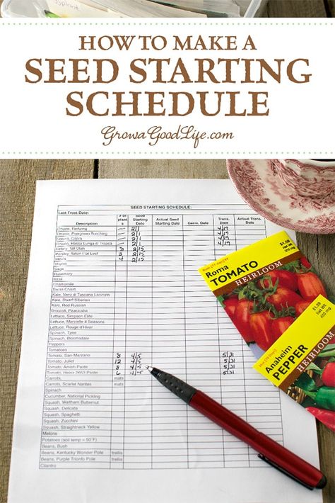 Seed Starting Schedule, When To Transplant Seedlings, Vegetable Garden Planning, Organic Vegetable Garden, Garden Planner, Garden Types, Veg Garden, Garden Journal, Homestead Survival