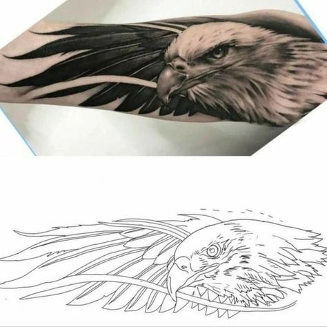 Realistic Eagle Tattoo Design, Eagle Tattoo Sleeve, Eagle Tattoo Drawing, Eagle Head Tattoo Design, Eagle Face Tattoo, Eagle Tattoo Stencil, Realistic Tattoo Stencil, Realism Tattoo Stencil, Tator Tot Casserole Recipe Easy