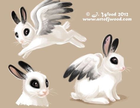 Bunny With Wings, Flying Monsters, Animal Anime, Creatures Art, Fantasy Drawings, Wings Art, Jake The Dogs, Rabbit Art, Monster Concept Art