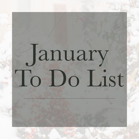 january to do list January To Do List, January Habits, White House Christmas Tree, White House Christmas, Holiday Cocktail Party, Break Bad Habits, Todo List, One More Day, January 2024