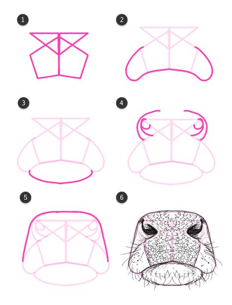 How to draw a cow nose/mouth                                                                                                                                                      More Draw A Cow, Cow Nose, How To Draw Animals, Face Abstract, Cow Drawing, Draw Animals, Cow Face, Cow Pictures, 강아지 그림