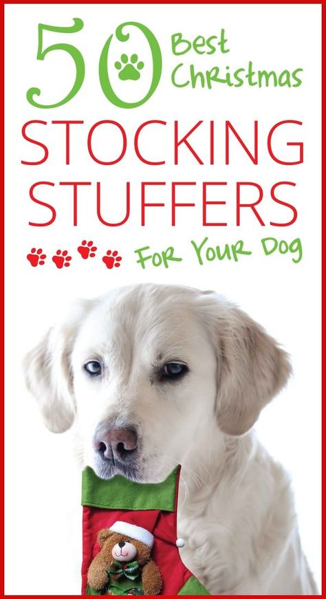 50 Best Christmas Stocking Stuffers for your Dog I spent ​many hours searching for the perfect dog toys, treats and fashions​​, so you ​can quickly ​fill your dogs Christmas stocking​. #christmasgifts #giftguide #doglover #christmas #giftguidefordoglover #lovemydog #giftguide #dog #doglover #personalizedgifts #uniquegifts #doggifts via @rescuedogs101 Dog Stockings Christmas Stuffers, Dog Crafts Christmas, Stocking Stuffers For Dogs, Christmas Gifts For Dogs, Stockings For Dogs, What To Get Your Dog For Christmas, Dog Christmas Stocking Stuffers, Dog For Christmas Present, Dog Christmas