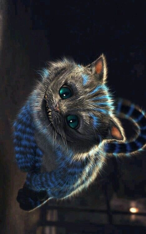 Chess Cheshire Cat, A Cat, Blue, Black