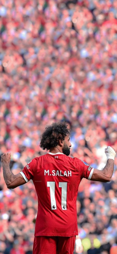 Mohammed Salah Wallpaper, Mo Salah Wallpaper, Salah Wallpaper, Football Stadium Wallpaper, Liverpool Football Team, Liverpool Football Club Players, Lfc Wallpaper, M Salah, Liverpool Fc Team