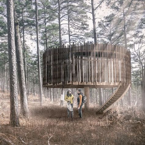 Castan Cabins on Instagram: "Comfort in Nature The Castan Treehouse provides an experience like no other, providing accommodation for couples or families seeking adventure. A circular outer timber screen of larch envelops the highly insulated timber core. In an elevated position, the Castan Treehouse sits within the canopy, reconnecting you to nature. #glamping #rest #relax #nature #design #render #renderlovers #architect #architecture #peacful #timber #tree #forest #treehouse #camping #adven Peaceful Architecture, Forest Treehouse, Timber Screen, Glamping Business, Relax Nature, Bell Tents, Timber Screens, Camp Site, Safari Tent