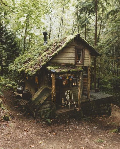 Voice of Nature Countryside Homes, Forest Dweller, Buildings Art, Fairy Things, Lost Things, Woodland Cottage, Witch Cottage, Forest Cabin, Cottage Life