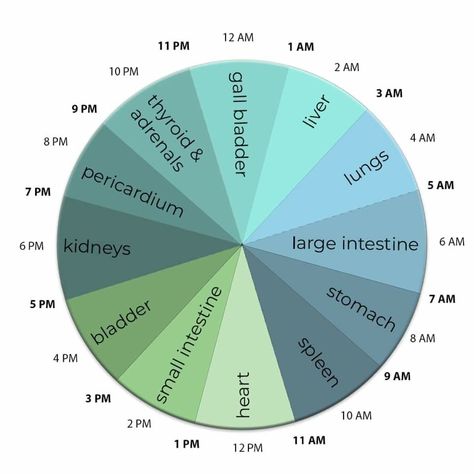 Meridian flow wheel Chinese Body Clock, Organ Clock, Healthy Colon, Best Time To Eat, Body Clock, Eastern Medicine, Acupressure Massage, Getting A Massage, Sweat Gland