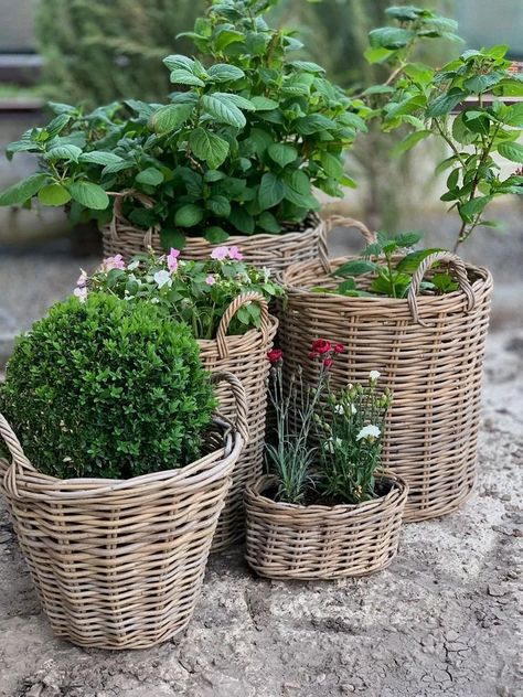 Outdoor Eating Area, Rattan Planters, Nancy Meyers, Basket Planters, Garden Cottage, Container Plants, Green Thumb, Backyard Garden, Cottage Garden