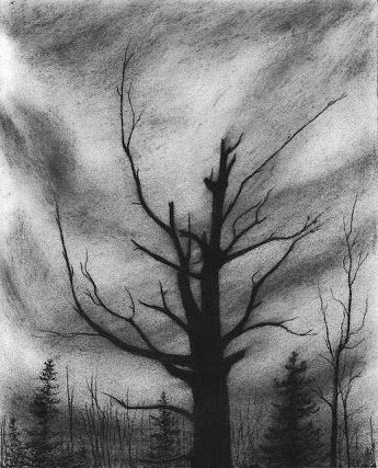 simple charcoal drawings - Google Search Easy Charcoal Drawings, Charcole Drawings, Dark Tree, Drawing Charcoal, Art Charcoal, Charcoal Sketch, Charcoal Drawings, Charcoal Art, Dark Art Drawings