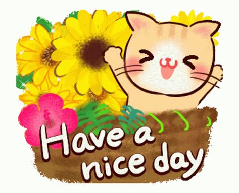 Good Day Gif, Cute Good Morning Gif, Hello Good Morning, Good Day Wishes, Water Rafting, Good Morning Animation, Good Morning Funny, Morning Gif, Cute Good Morning