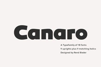 canaro-free-fonts Serif Typography Design, San Serif Typography, San Serif Fonts, Fat Font, Sans Serif Typography, Demolition Man, Serif Typography, Fonts For Designers, Free Fonts For Designers