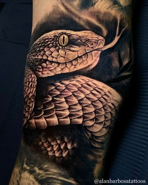 Snake Bicep Tattoo, Realism Snake Tattoo, Slang Tattoo, Rattle Snake Tattoo, Realistic Snake Tattoo, Hermes Tattoo, Dragon Tiger Tattoo, Alligator Tattoo, Chucky Tattoo