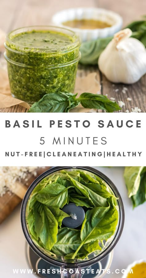 Pesto Basil, Fresh Basil Recipes, Nut Free Pesto, Basil Pesto Sauce, Basil Pesto Recipes, Basil Recipes, Pasta Pizza, Herb Recipes, Pesto Recipe