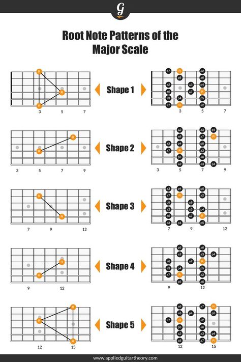 Major scale roots on guitar fretboard diagrams Minor Scale Guitar, Learn Guitar Scales, Pentatonic Scale Guitar, Guitar Scales Charts, Guitar Chords And Scales, Guitar Tabs And Chords, Jazz Guitar Lessons, Guitar Chord Progressions, Learn Guitar Chords