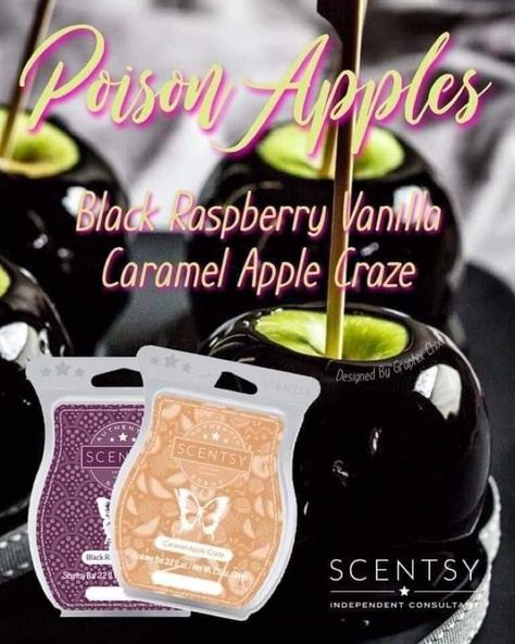 Scentsy Sample Ideas, Scentsy Pictures, Scentsy Facebook Party, Scentsy Recipes, Scentsy Marketing, Scentsy Candles, Selling Scentsy, Scentsy Consultant Ideas, Scented Wax Warmer