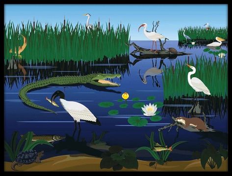 EPA Releases SeqAPASS Version 7.0 | US EPA Landscape With Animals, Florida Everglades, Everglades Florida, Fabric Wall Art, Aquatic Plants, Free Vector Art, The River, Wall Mural, Royalty Free Images