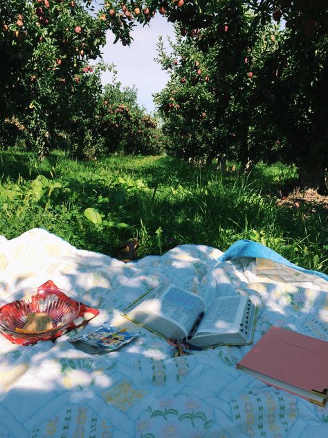 Apple Orchard Picnic, Orchard Picnic, Cherry Orchard Aesthetic, Apple Picking Inspo Pics, Fall Apple Orchard Aesthetic, Picnic At Park Aesthetic, Picnic Pictures, Country Picnic, Cherry Orchard