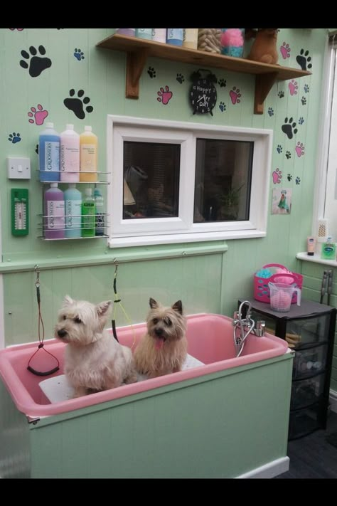 Grooming Shop Ideas, Grooming Room, Grooming Salon Ideas, Dog Grooming Ideas, Animal Grooming, Dog Grooming Tubs, Mobile Pet Grooming, Grooming Salons, Dog Grooming Tools